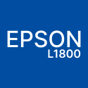 Treiber Epson L1800